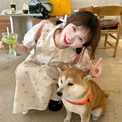 青春之歌