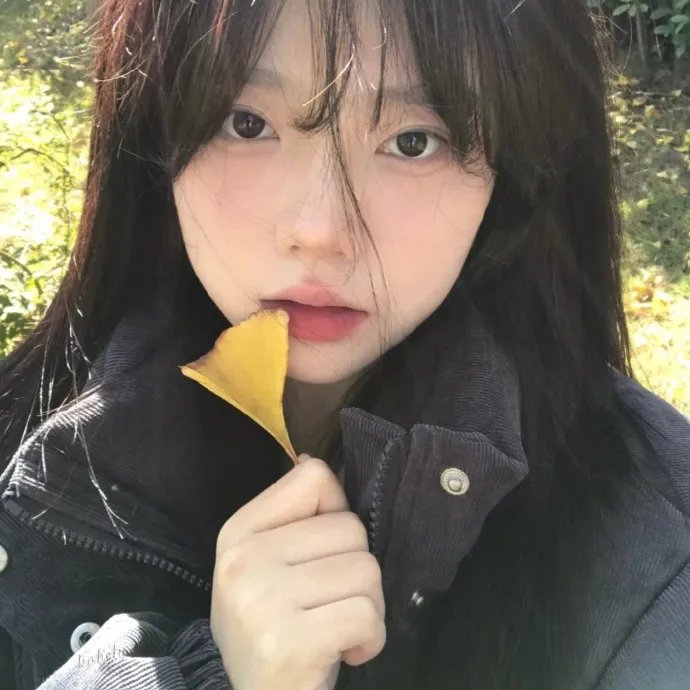 美国鸟类