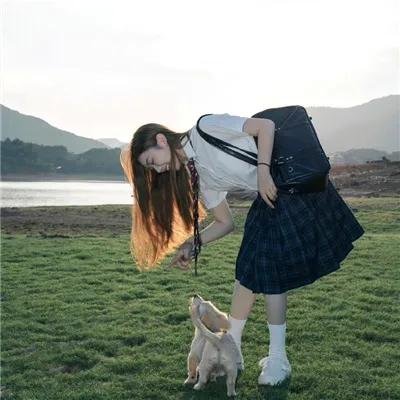 狗狗的疯狂假期